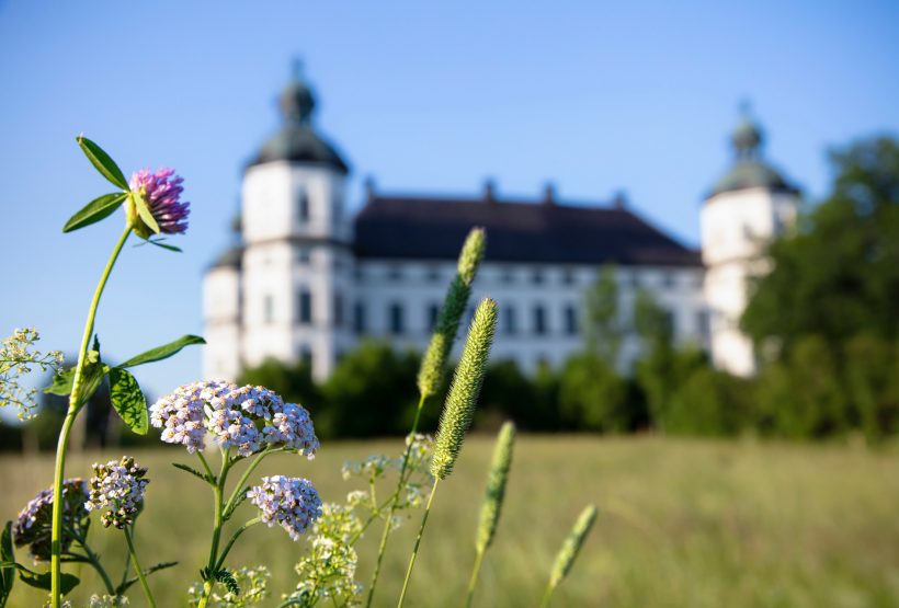 Exteriör Skoklosters slott med blommor. CC BY Jens Mohr.