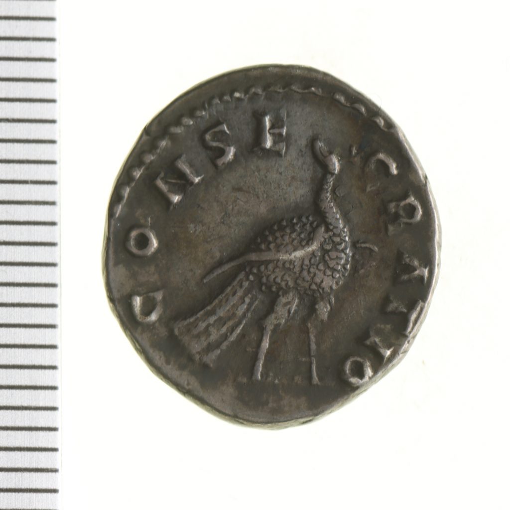 På denarens baksida syns en påfågel.