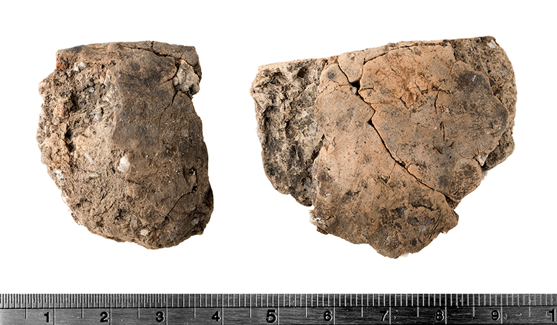 Fid1195888_a