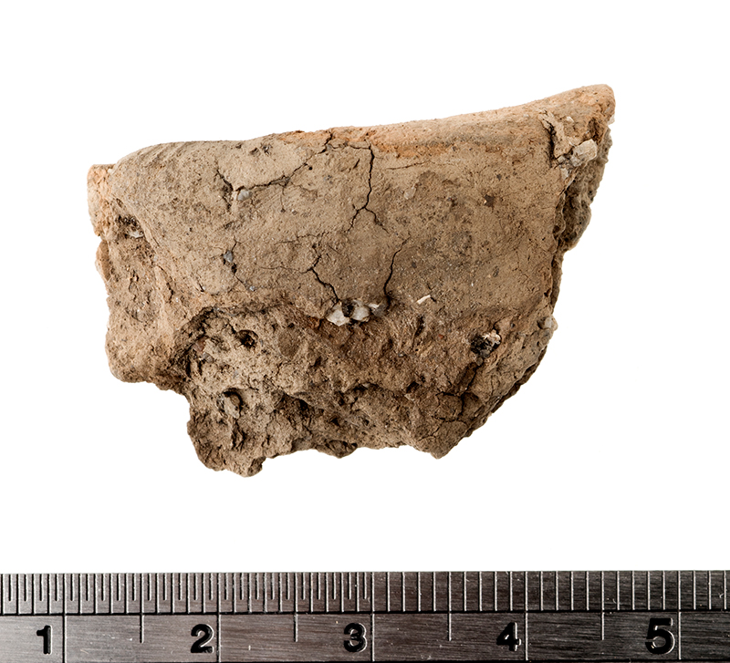 Fid1195892_a