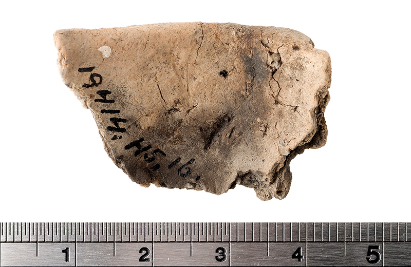 Fid1195892_b