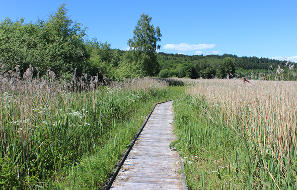 IMG_4495förbloggen