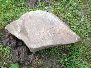 bild (3)