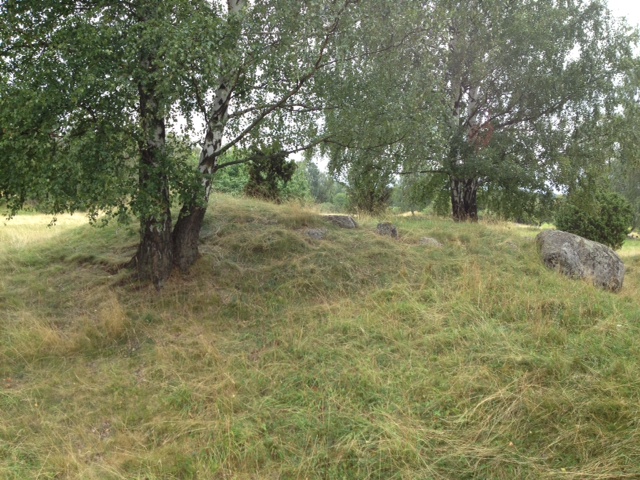 bild (3)