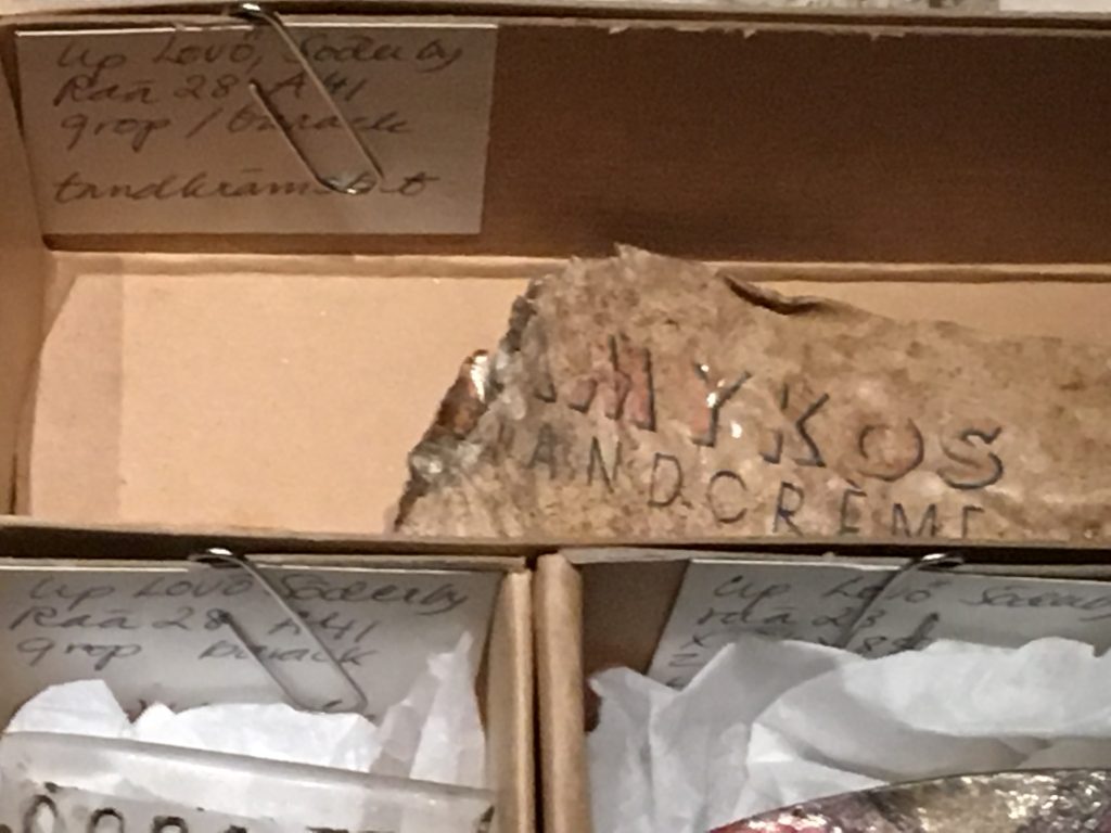 Arkeologiska föremål i pappaskar.