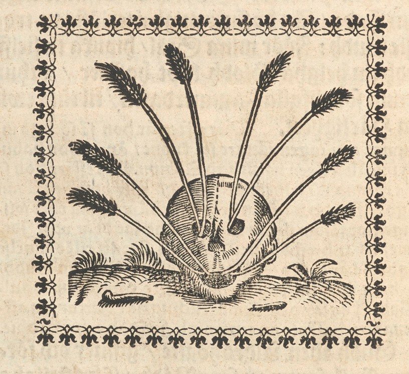 Gravyr som föreställer en dödskalle med veteax som kommer ut ur ögon, näsa och mun.