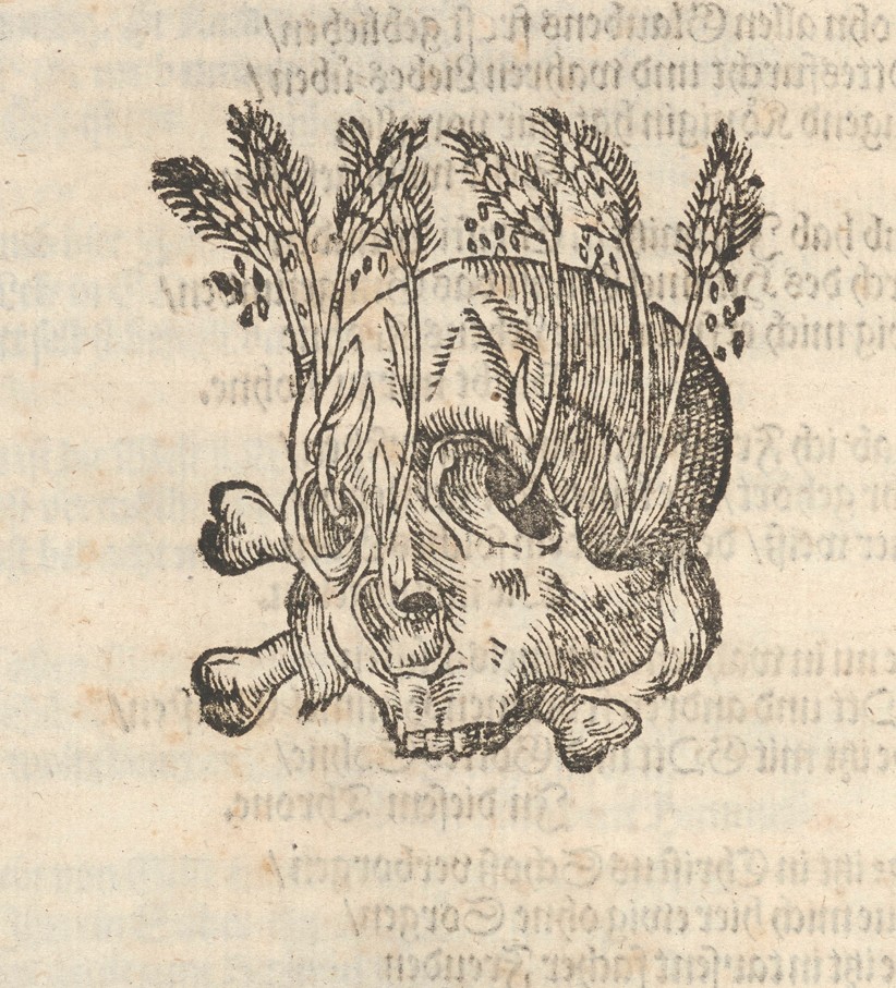 Gravyr av en dödskalle som ser ledsen ut. Veteax växer ut ur ögon, öron och näsa.