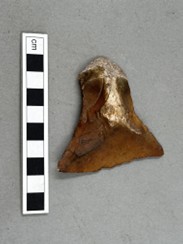 Yxformad stenbit som ligger bredvid en linjal.