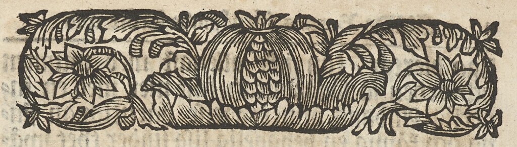 Svartvit teckning av stiliserade växtdelar.